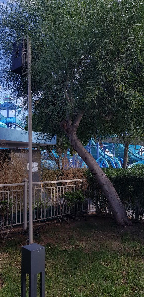 imagini hotel NIRVANA LARA